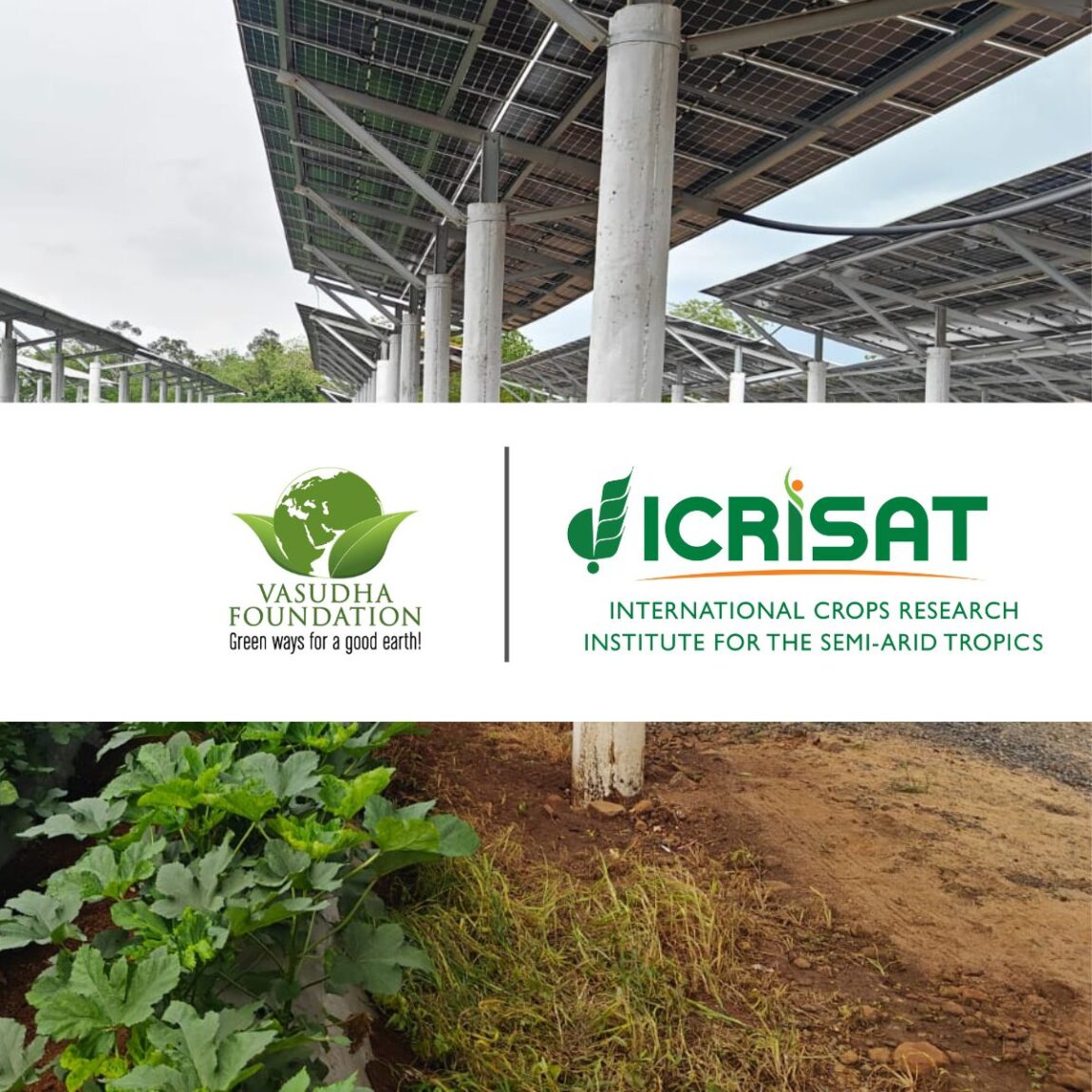 MoU-Vasudha-ICRISAT-1.2.jpg