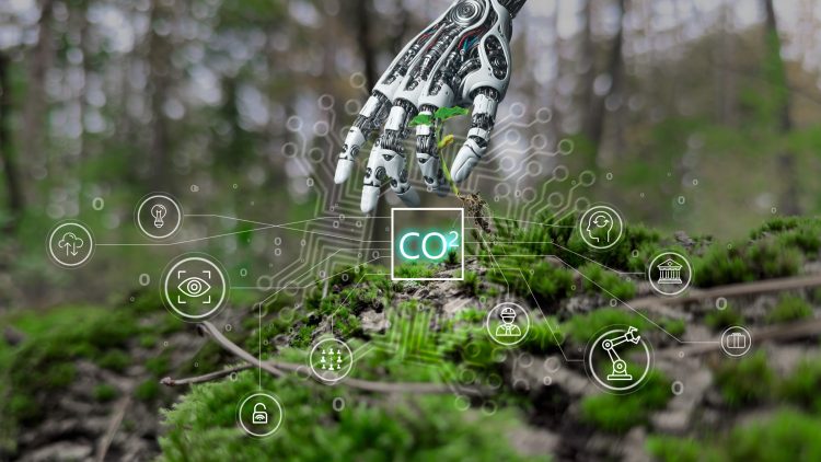 AI and the Challenge of Environmental Sustainability