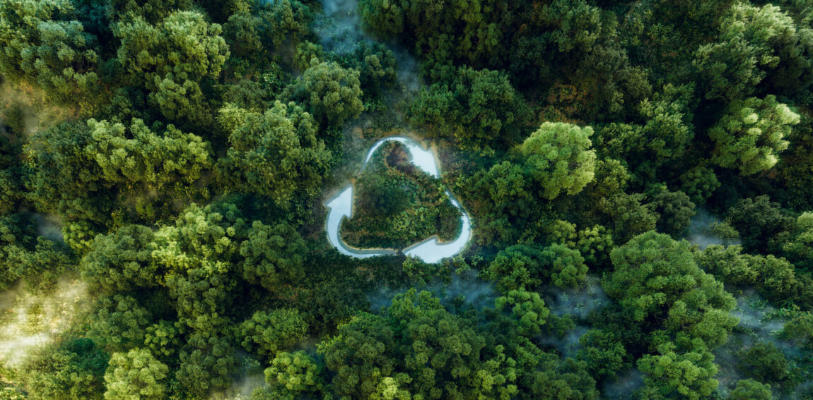 symbolic-emblem-ecopush-recycling-reusing-depicted-as-pond-with-recycle-sign-amid-pristine-forest-backdrop-3d-rendering-scaled.jpg
